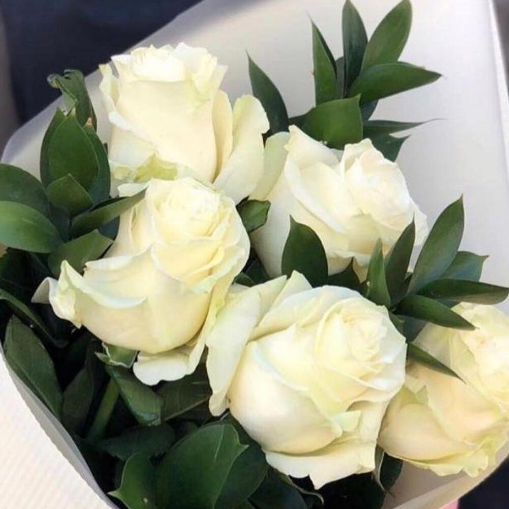 White classic XS