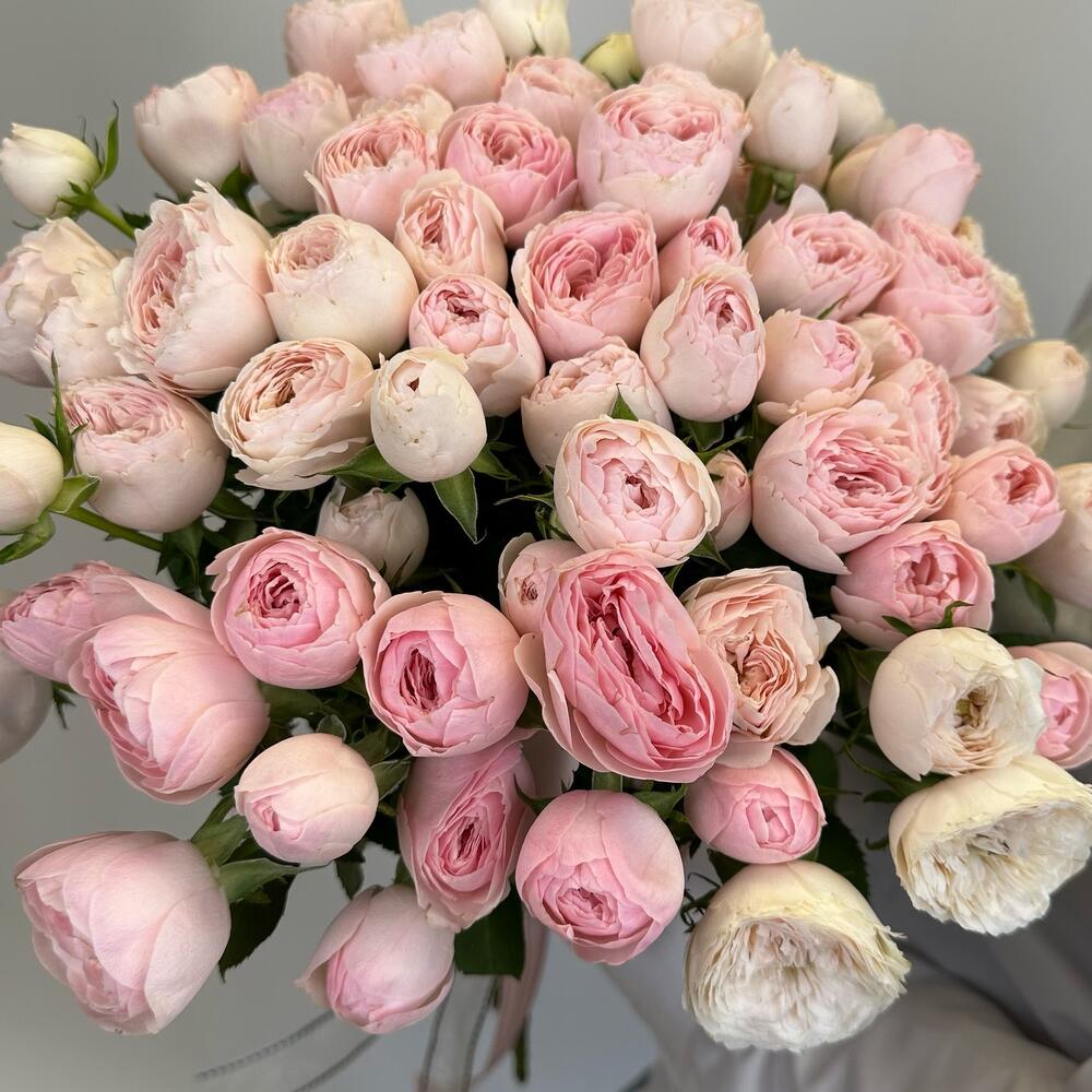 ✅✅✅Нежные пион розовые розы перевязанные лентой 💝