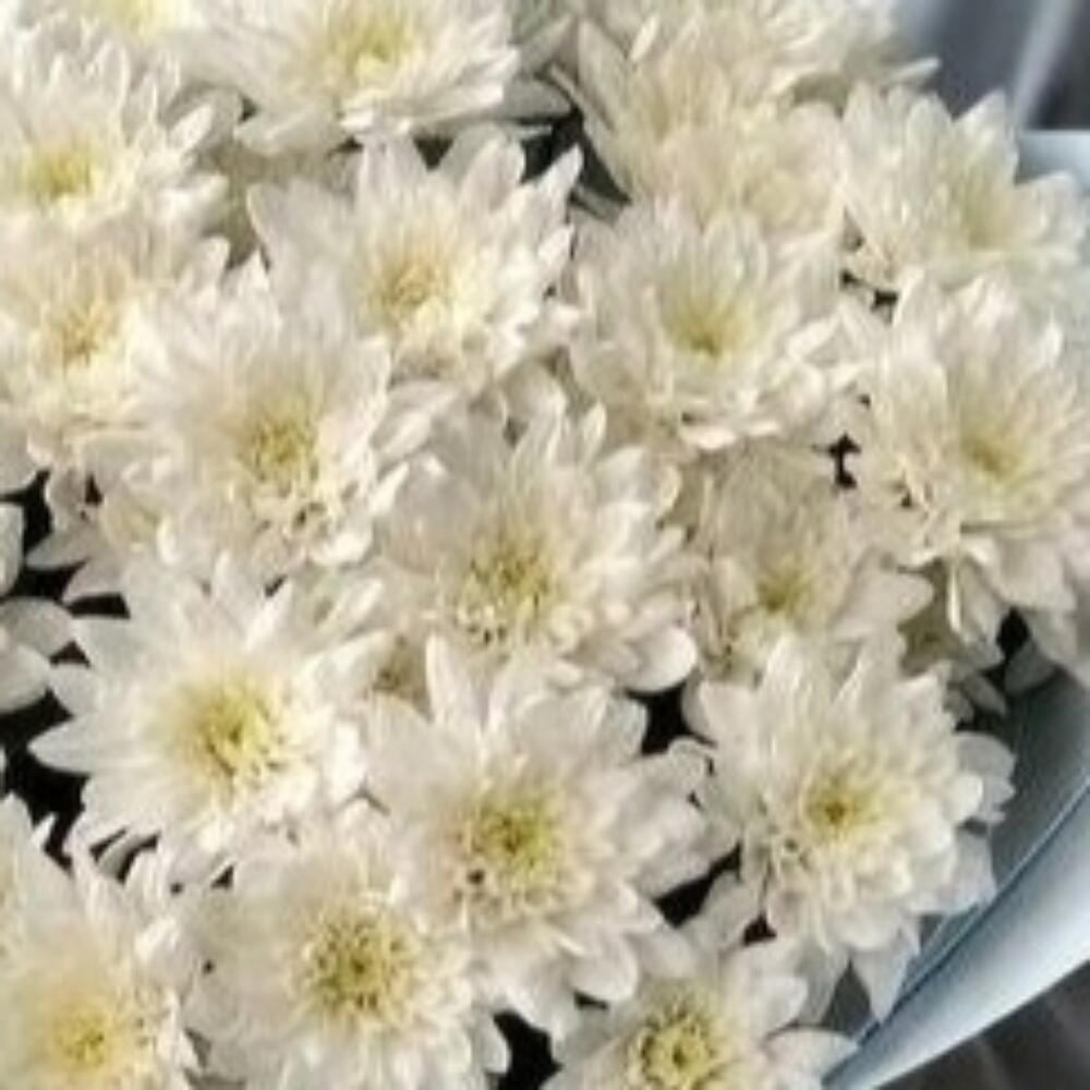 Букет 💐
