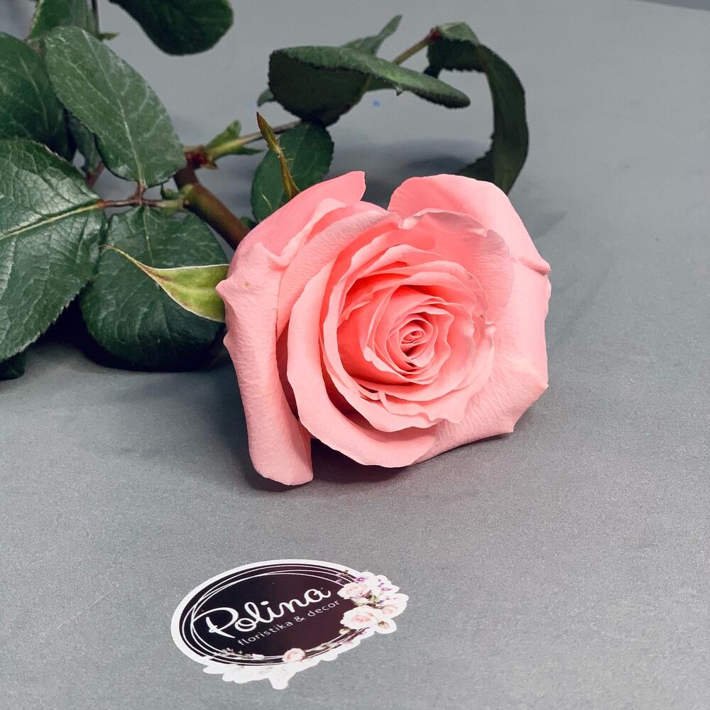 Роза «Be Sweet» 60 см