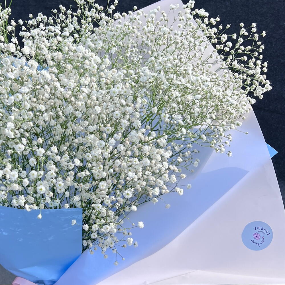 Large gipsofila bouquet