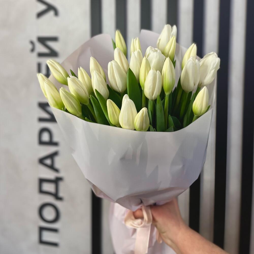 25 белых тюльпанов