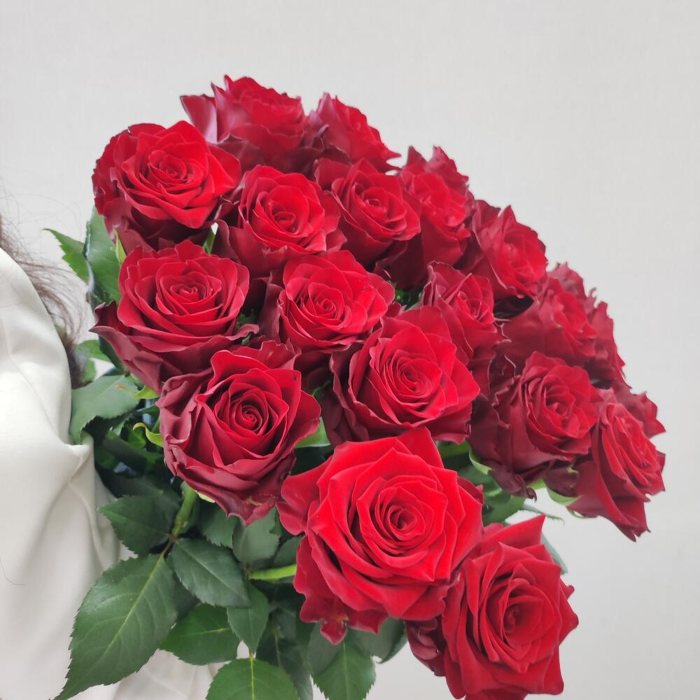 Розы красные, Flowers Yerevan, Armenia, buy at a price of 20000 AMD, Mono Bouquets on Catalina