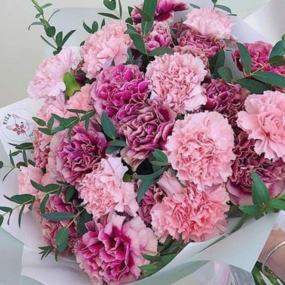 Букет из гвоздик 25 шт
