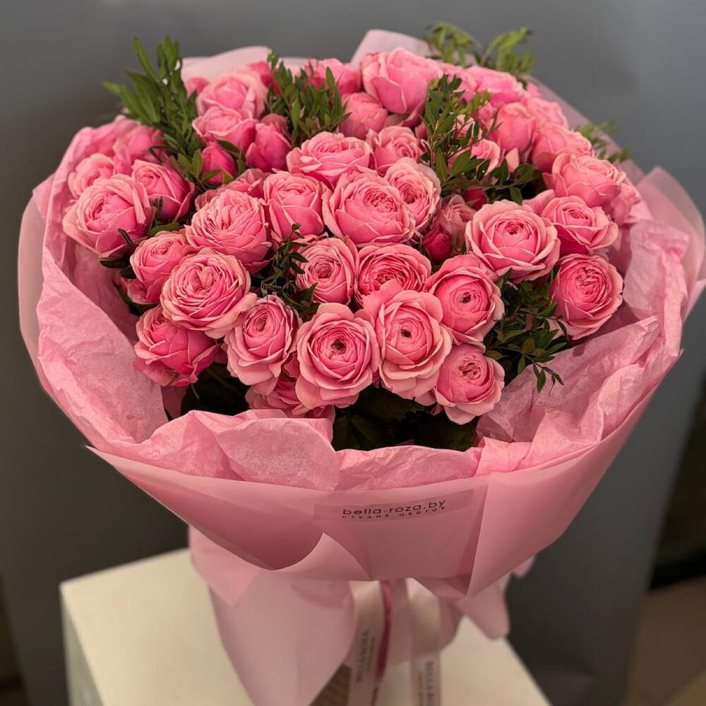 Роскошное Моно Silva Pink