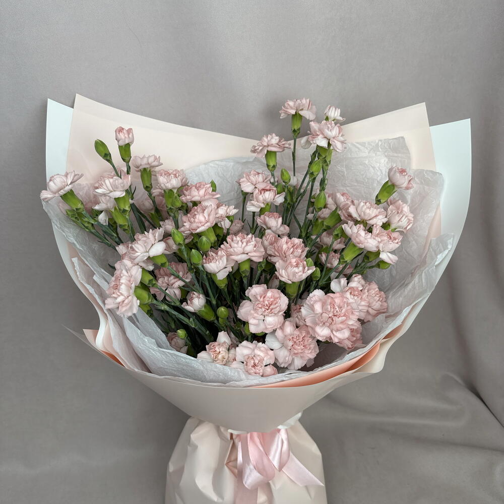 Розовые кустовые диантусы🥰🌸