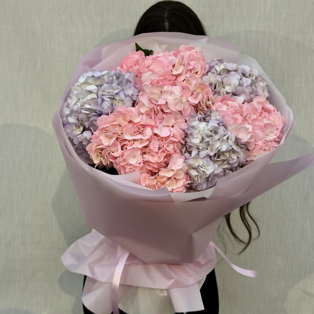 Гортензия 🩷💜