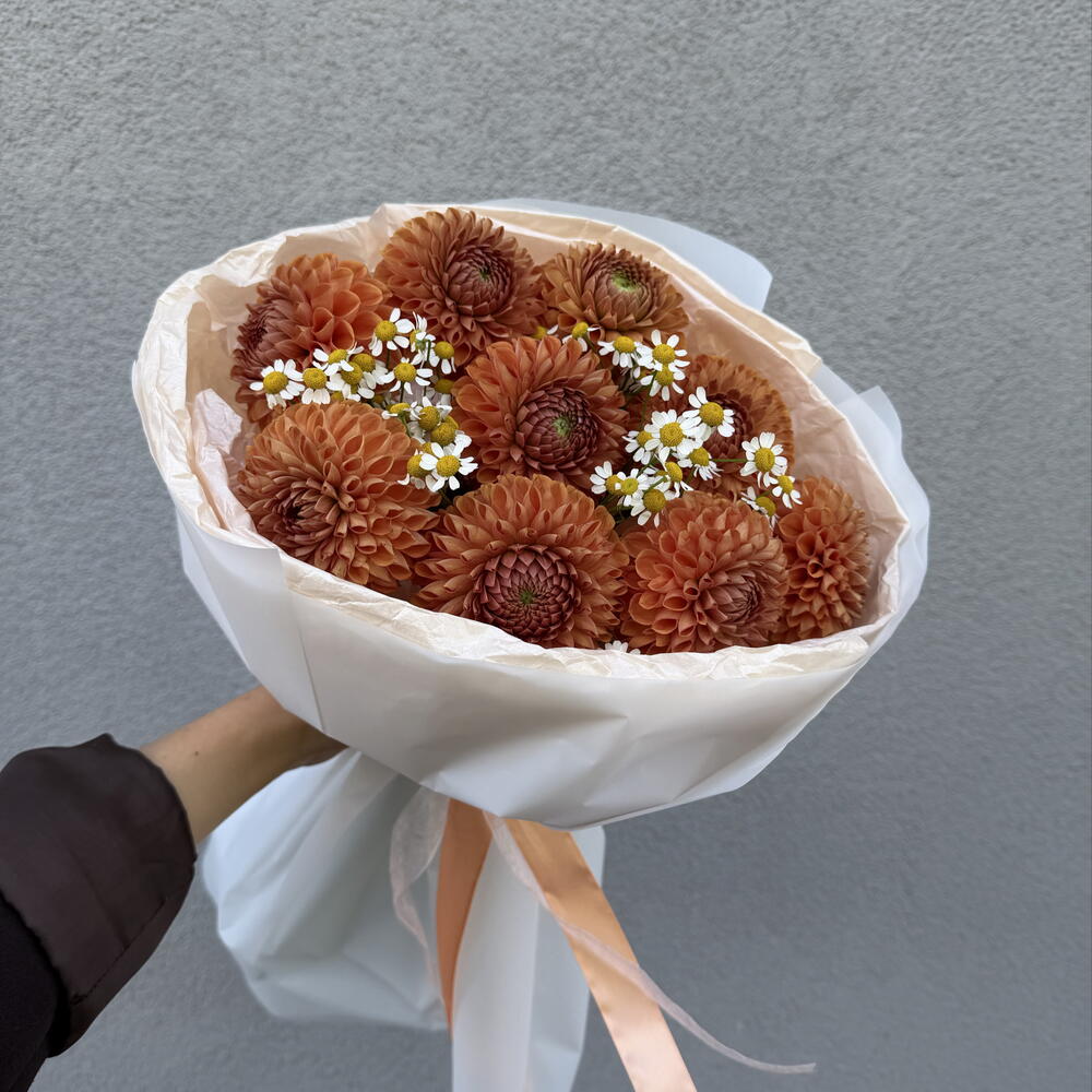 Георгины с ромашками
