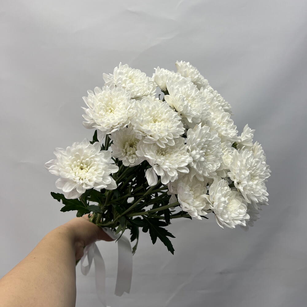 Цветы