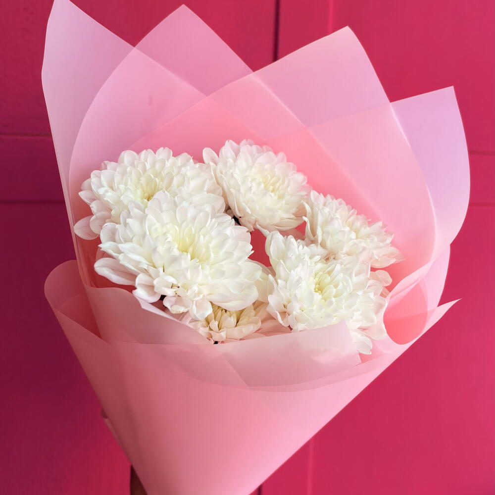 Хризантема комплимент 💐