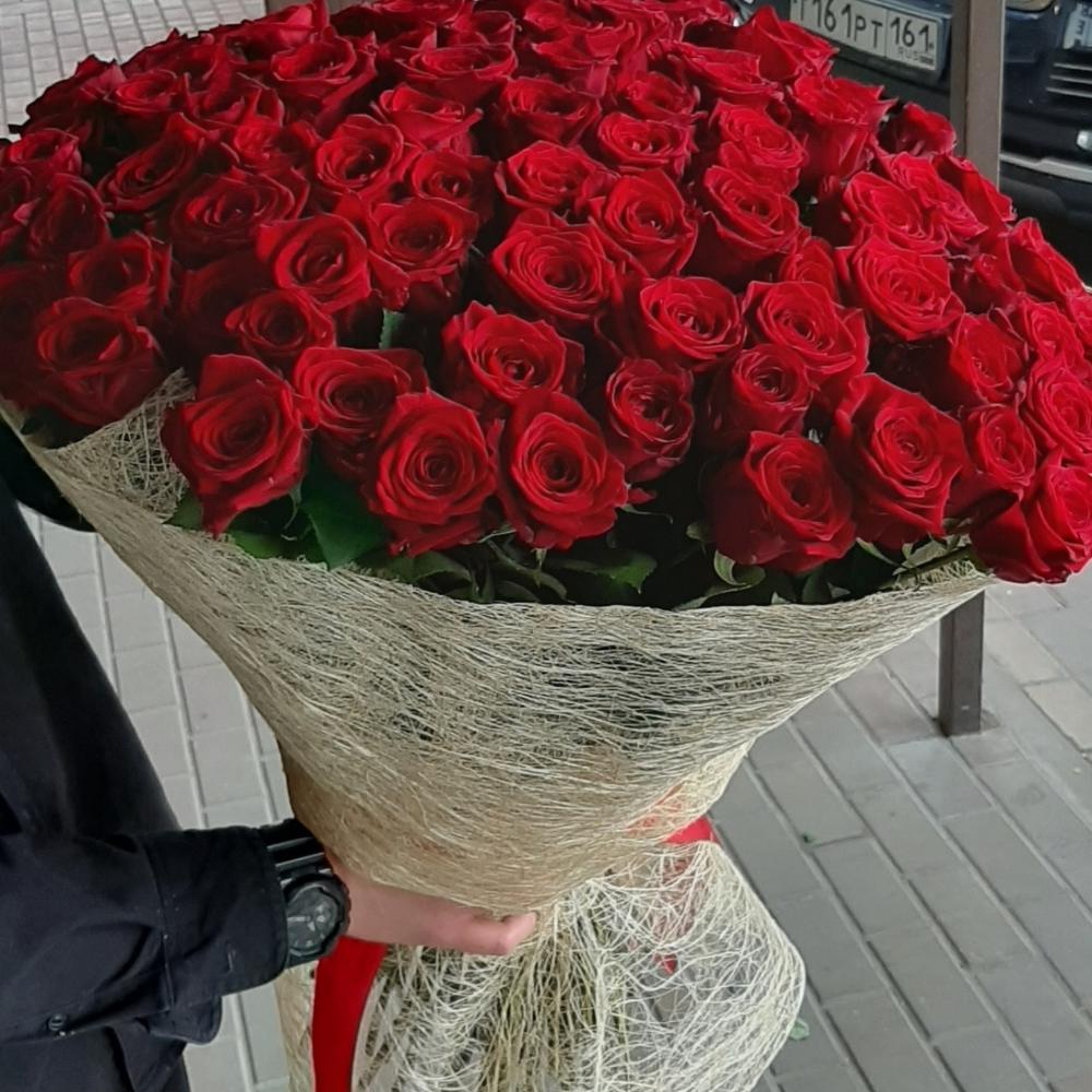 Роза эксплорер 80 см