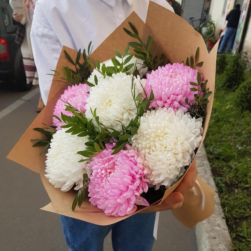 Крымская хризантем