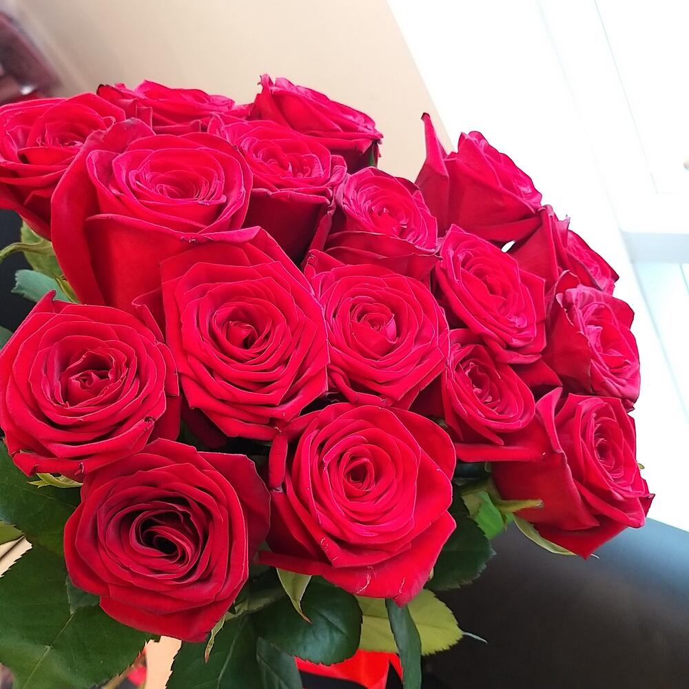 17 красных роз🥰