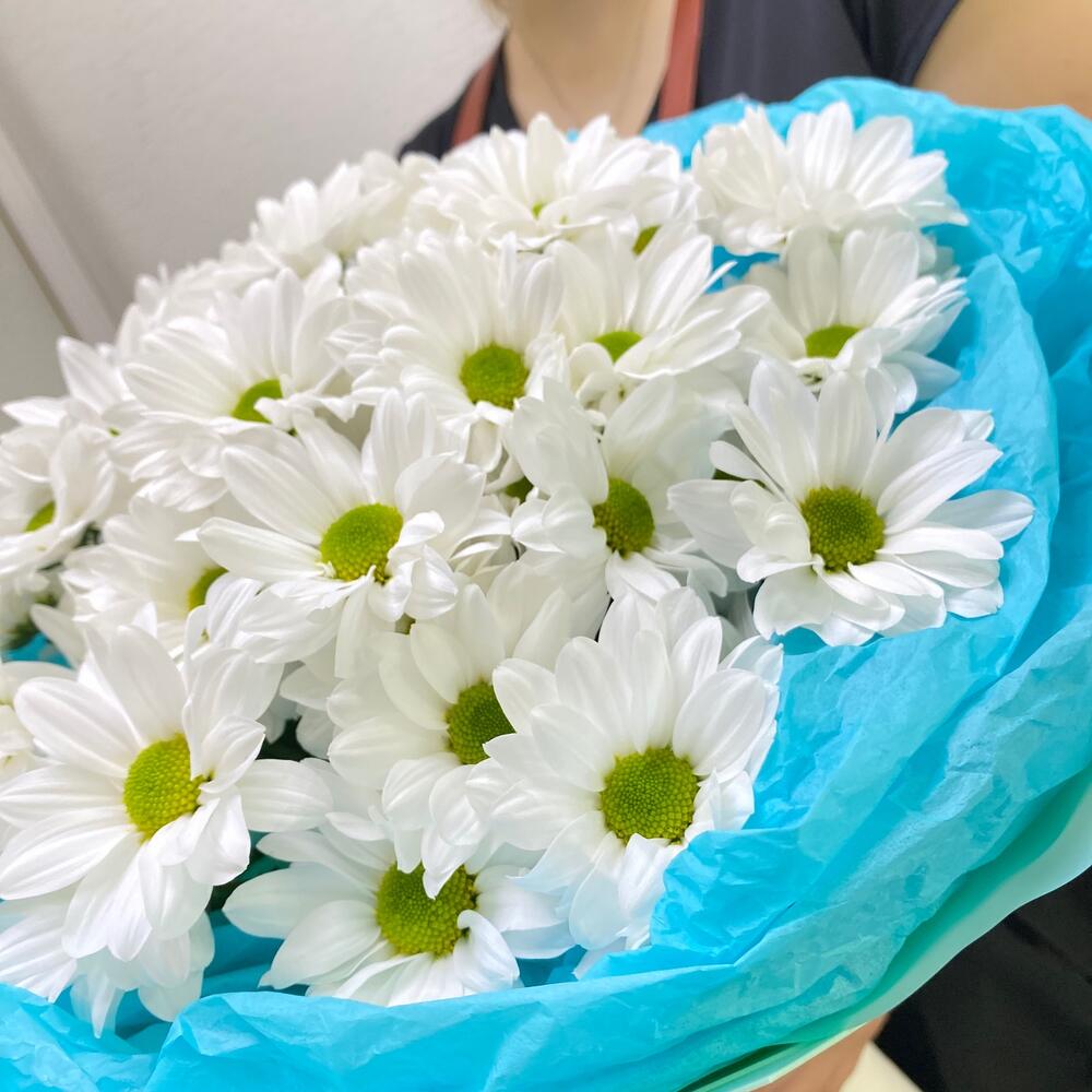 Ромашки🙏🏻💐🤩🌸😊