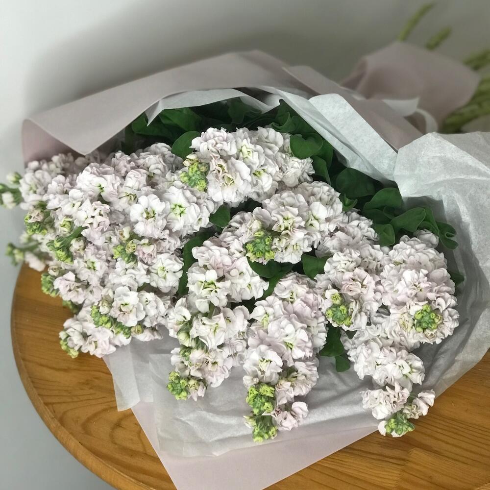 Нежный букет из 19 маттиол «Свежесть»