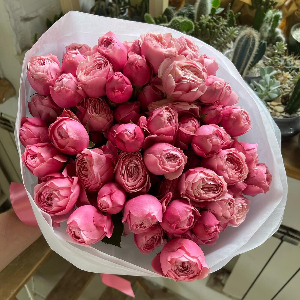 11 кустовых пионовидных pоз