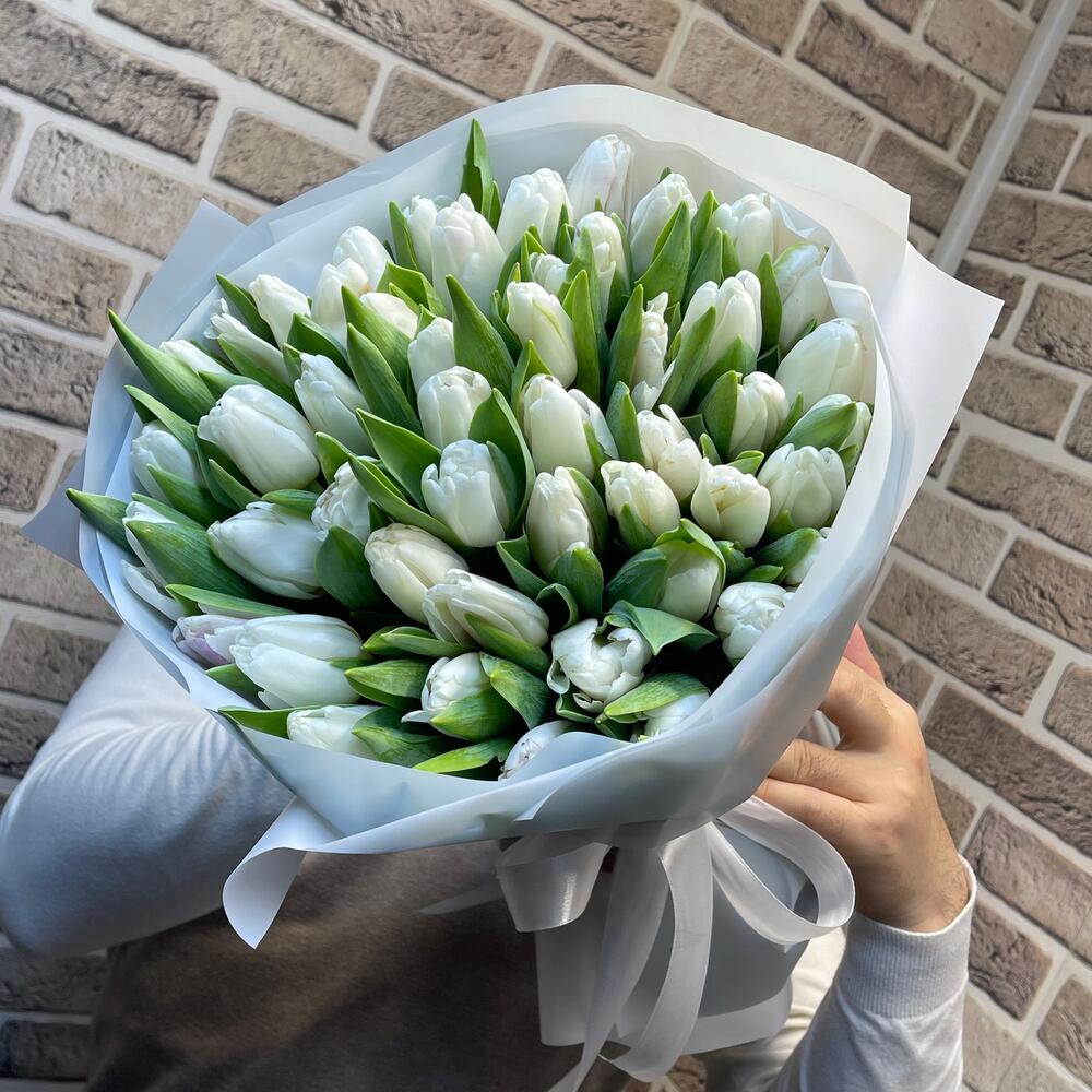 Белые тюльпаны🌷