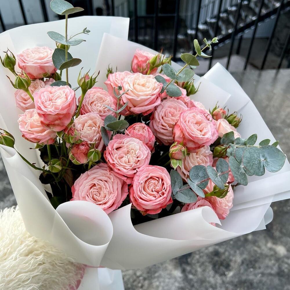 Мадам Бомбастик💕 кустовые розы