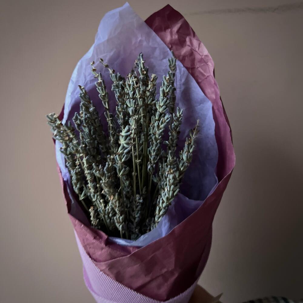 Букетик сухой лаванды