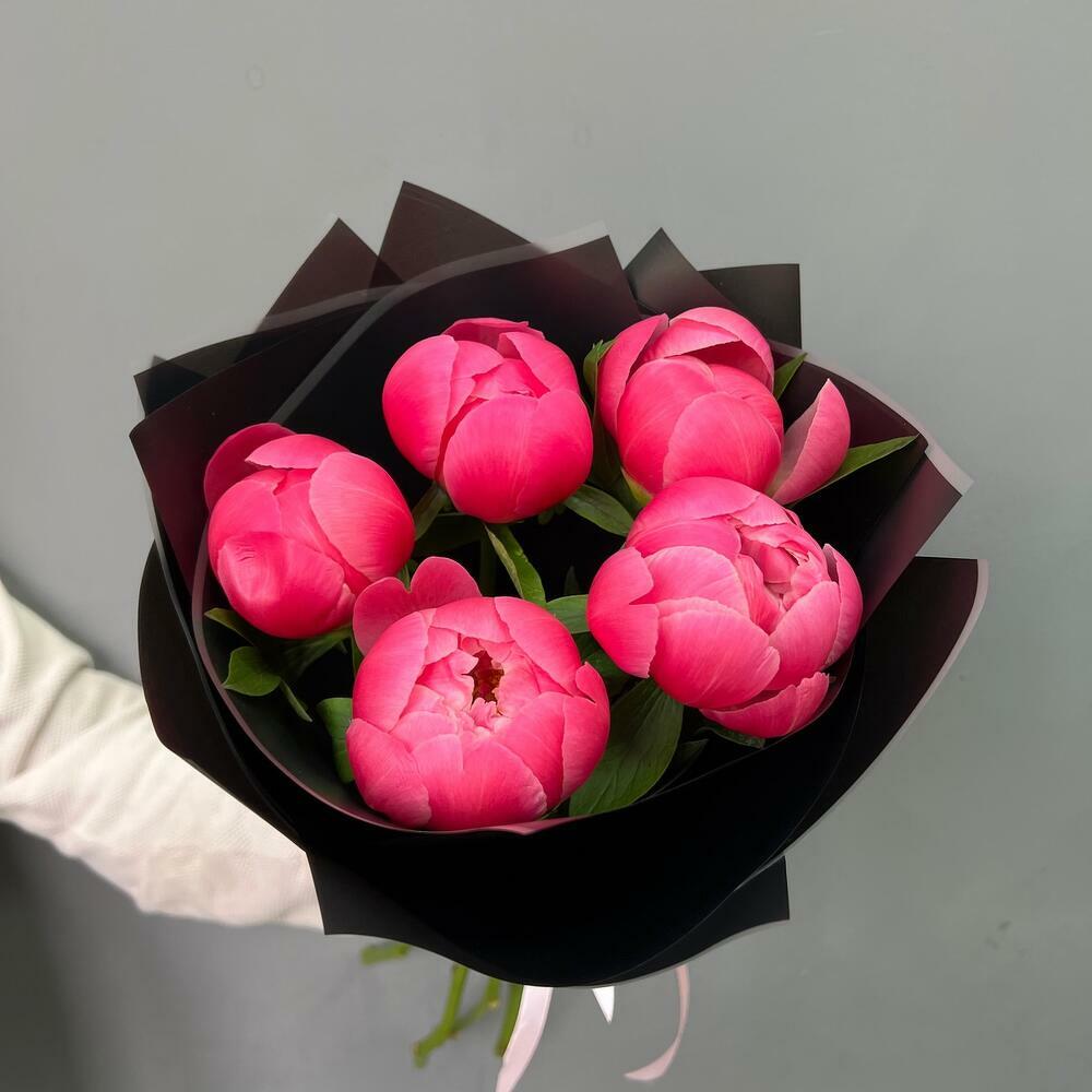 5 коралловых пионов Коралл Шарм (0006) peony