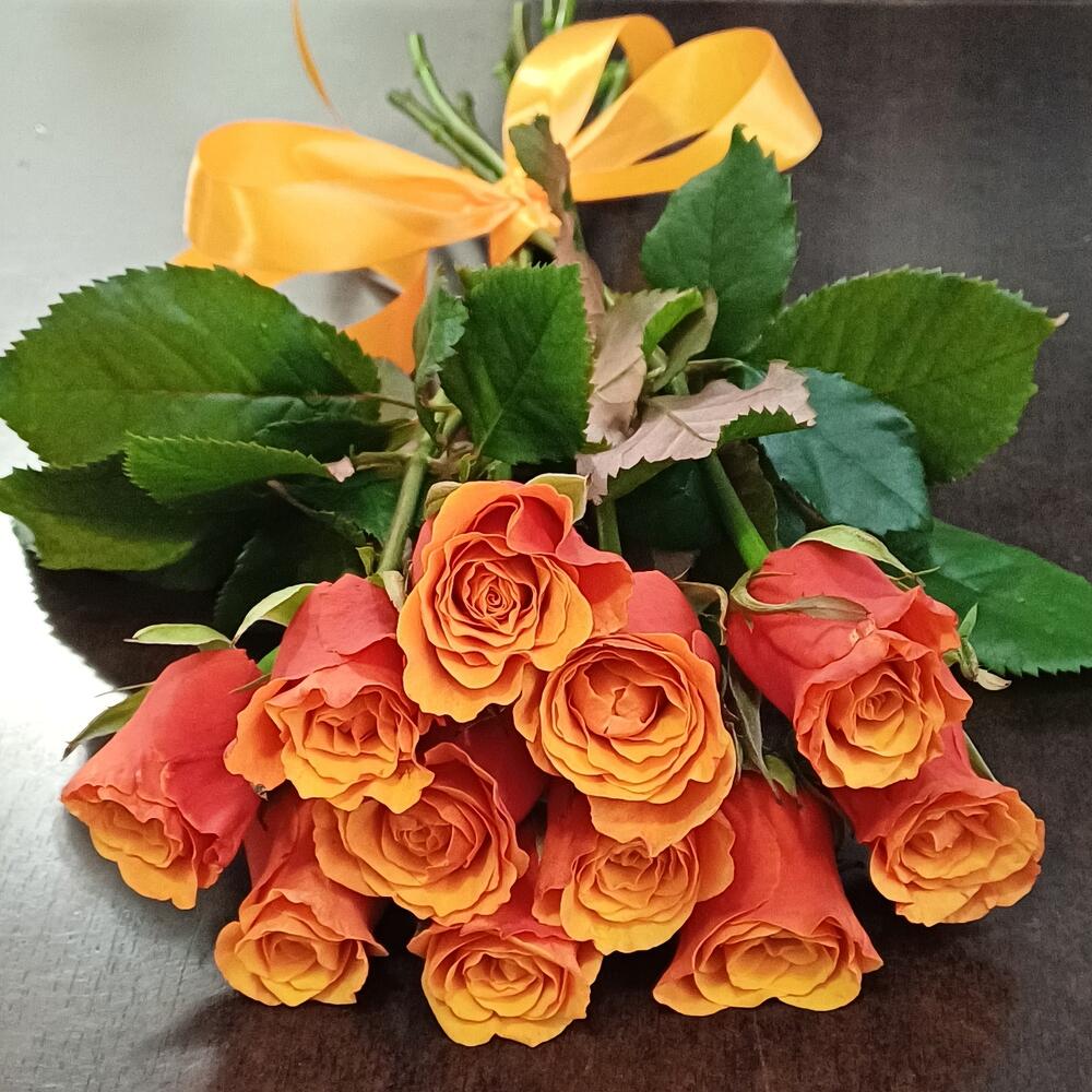 11 roses SPAIN