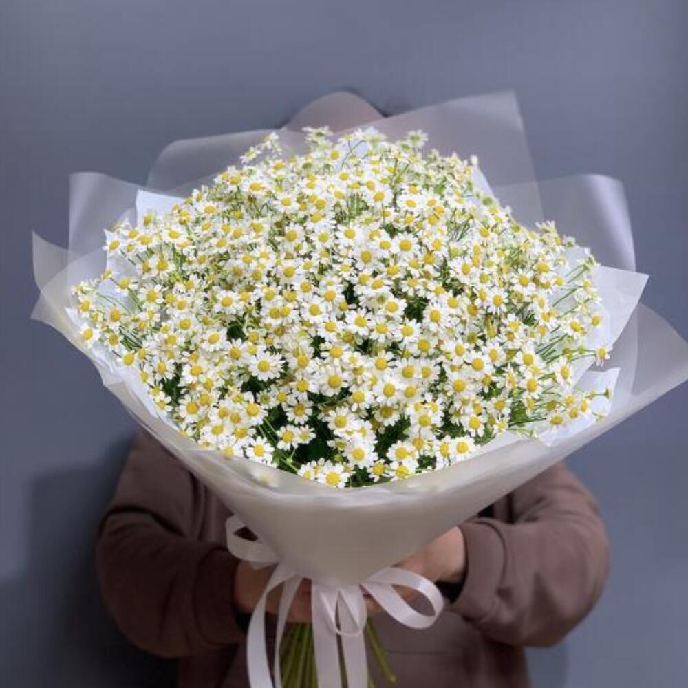 Букет из ромашек (35 шт)