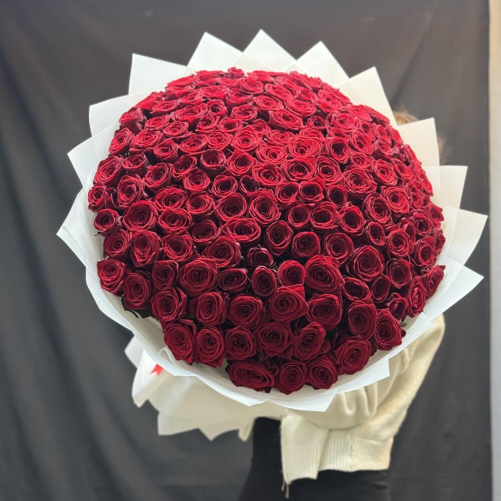 Огромный букет из 151 розы🌹