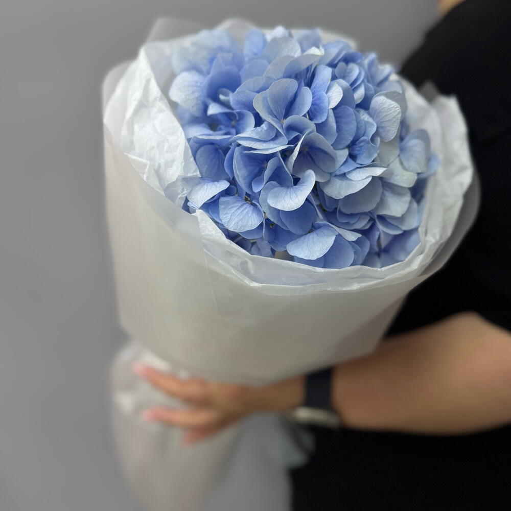 Нежность 💙 Гортензия