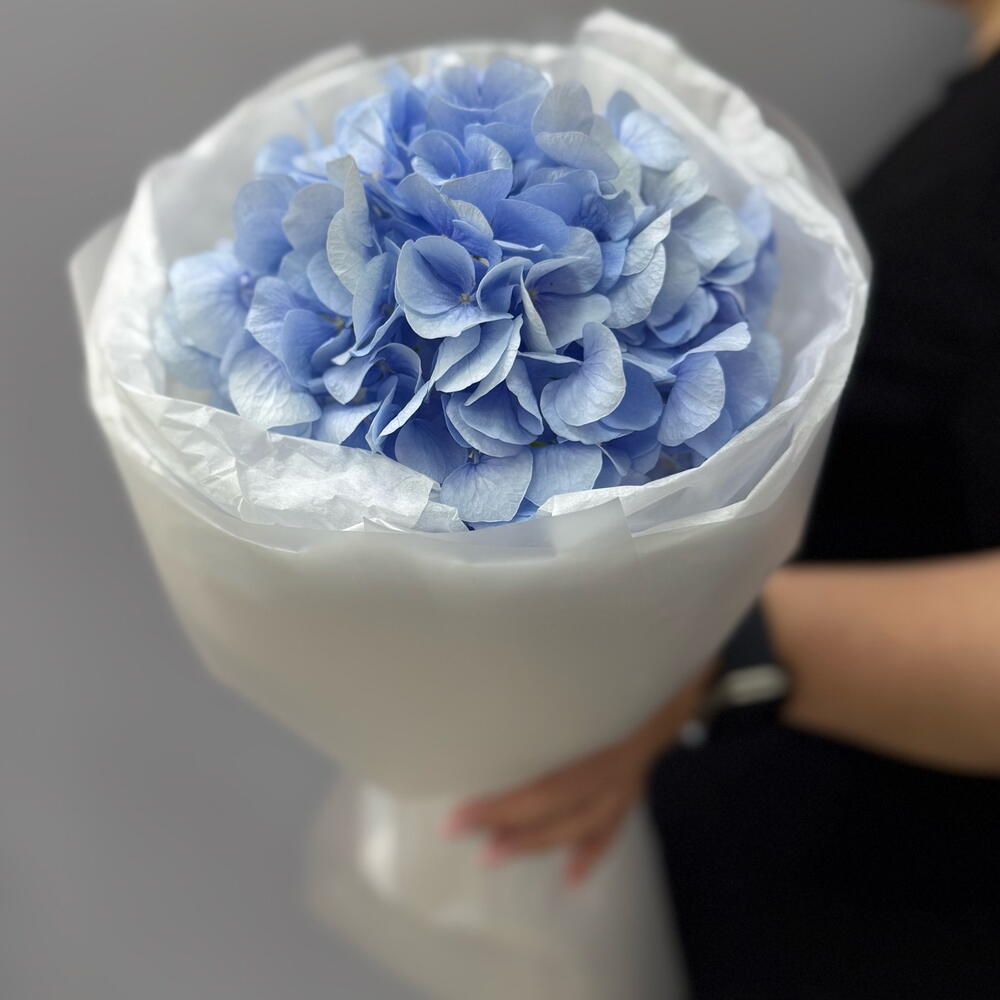 Нежность 💙 Гортензия