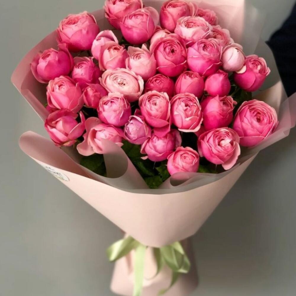 Сильва пинк 🌷