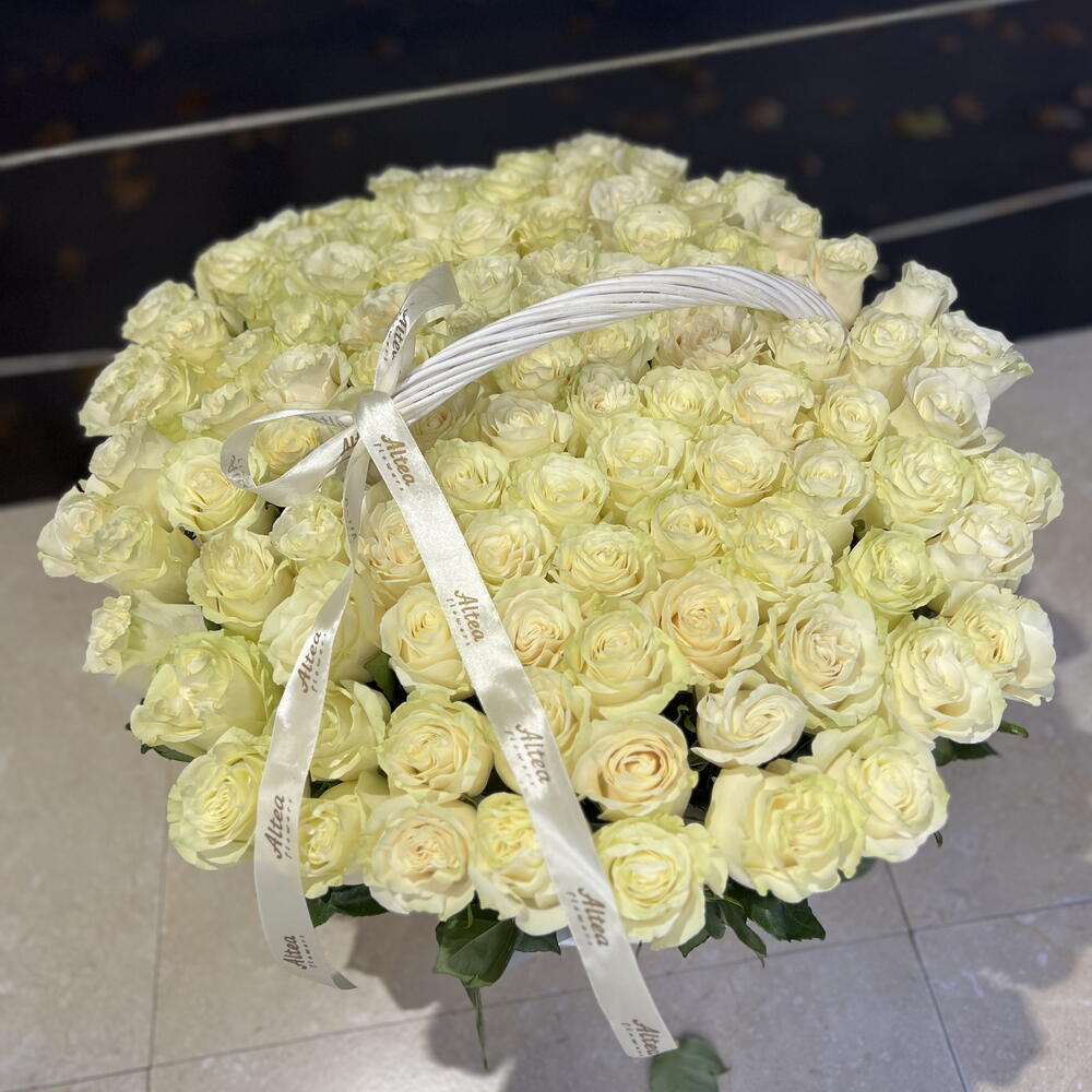 100 white rose in basket