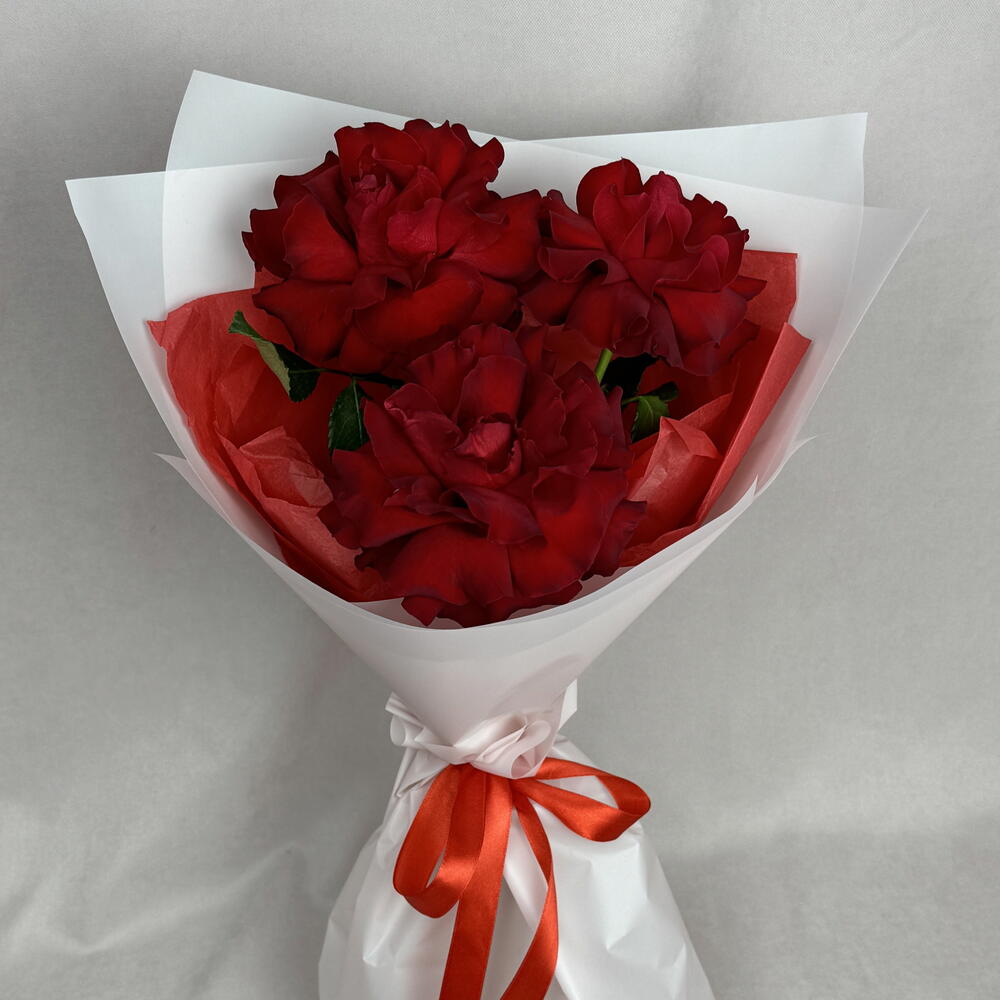 3 французские красные розы🌹