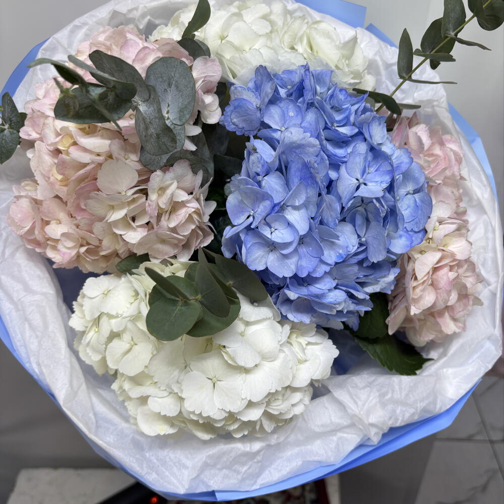 Bouquet of hydrangeas