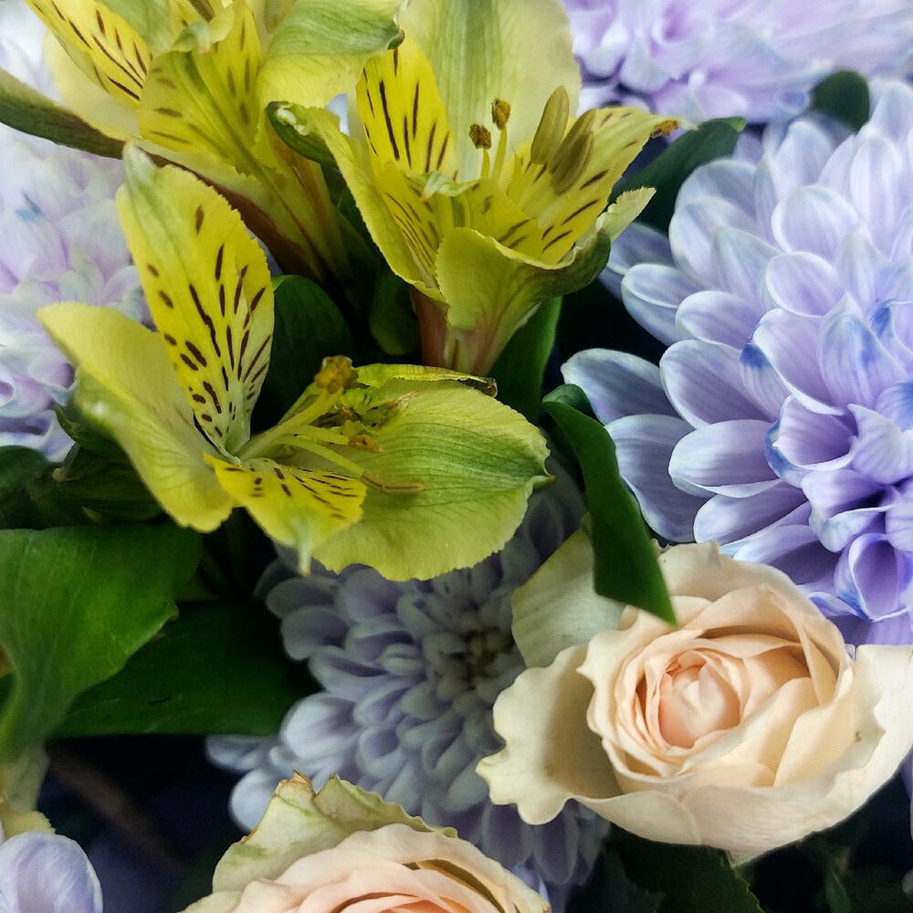 Букет из альстромерии и хризантемы😍💖