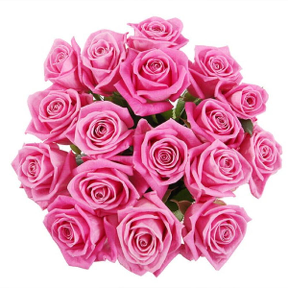 17 розовых роз🎀
