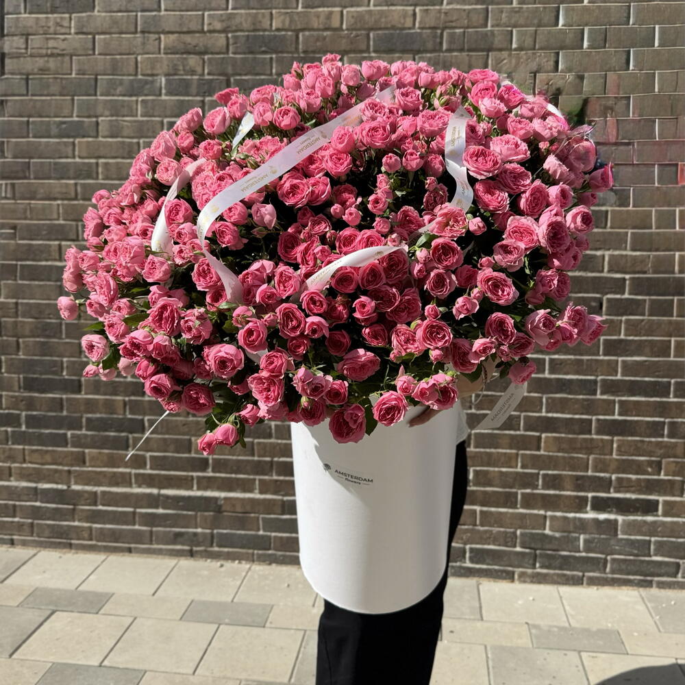 Giant box with Sophie shrub roses