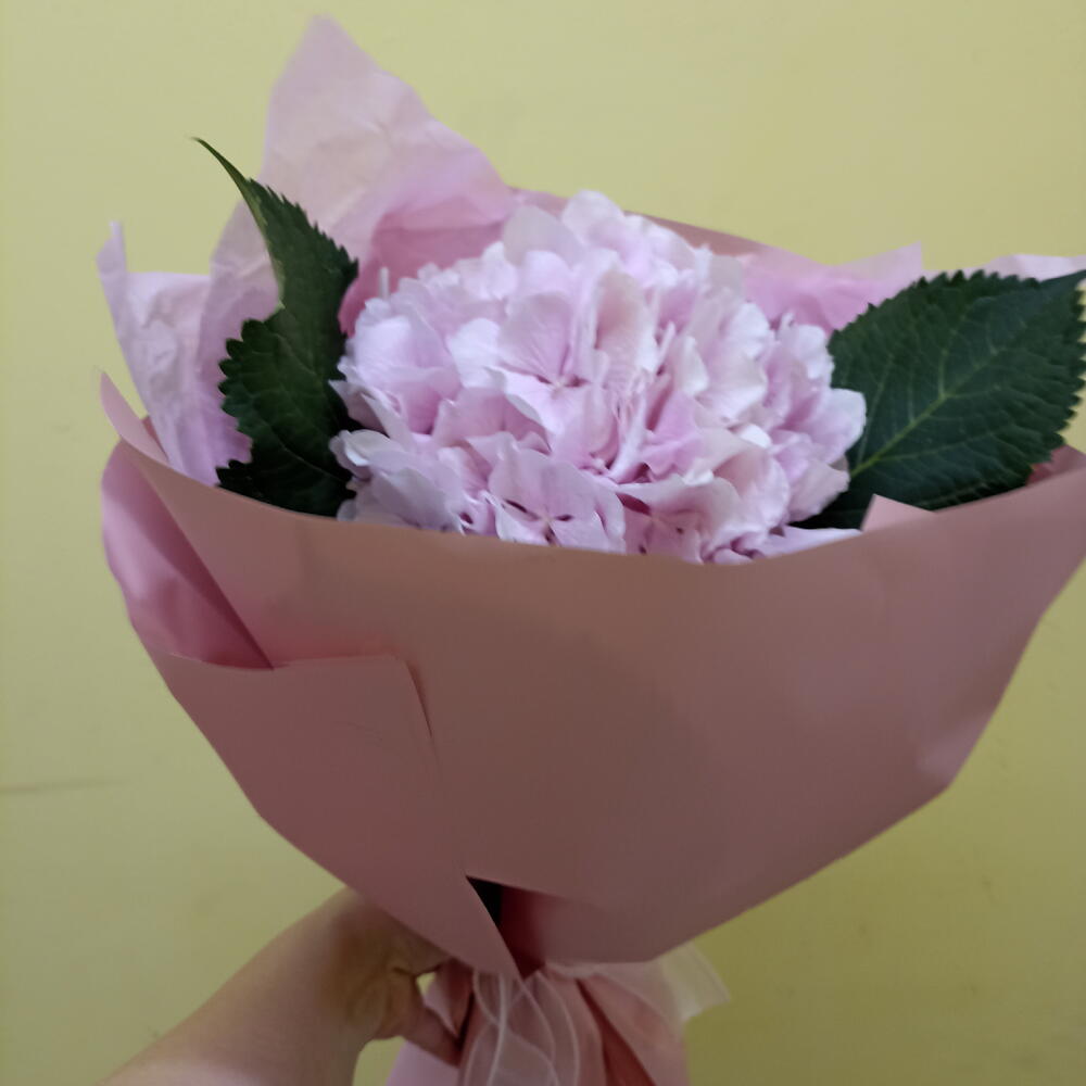 Розовая зефирка