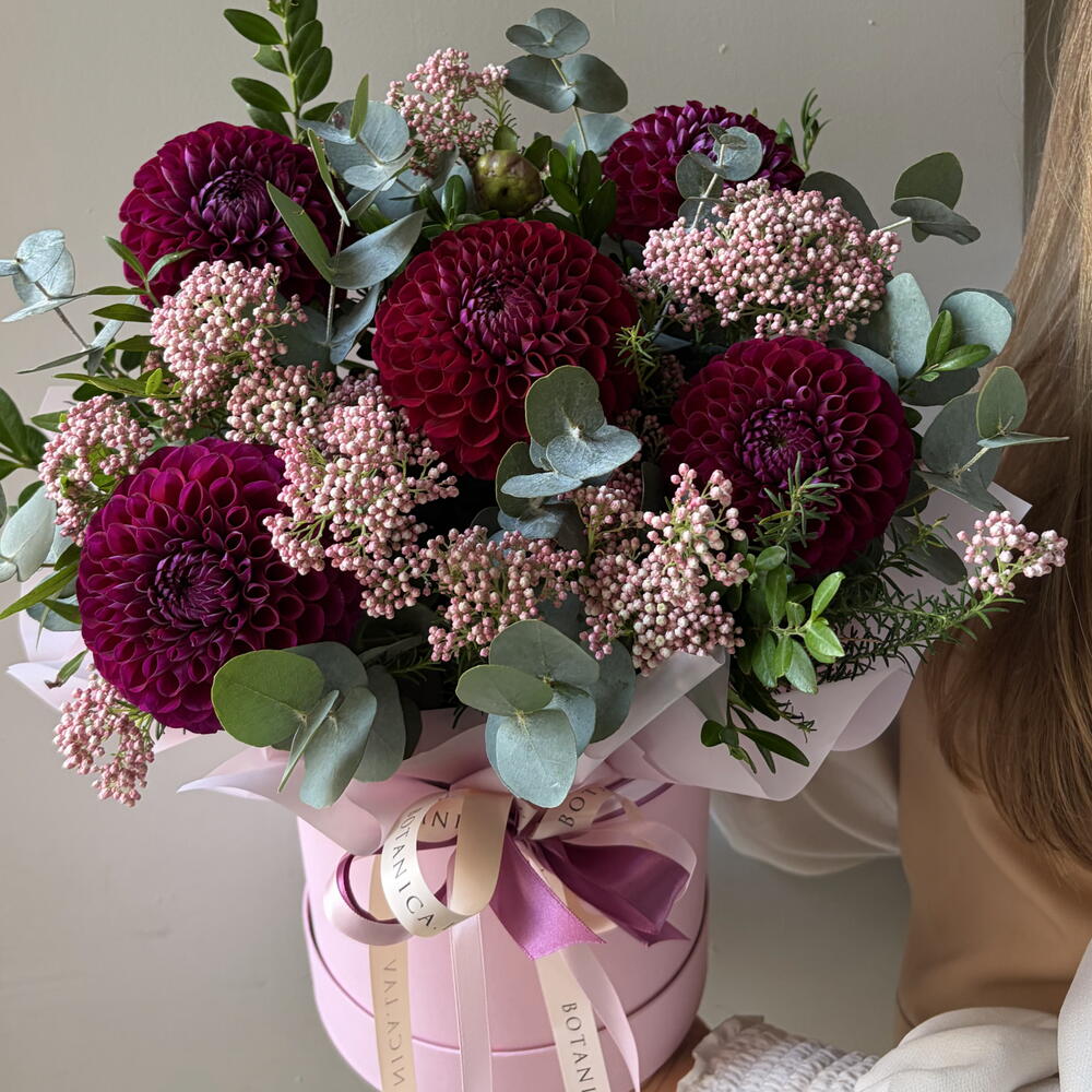 Георгины, Озотамнус и эвкалипт, композиция в подарочной коробке 💜