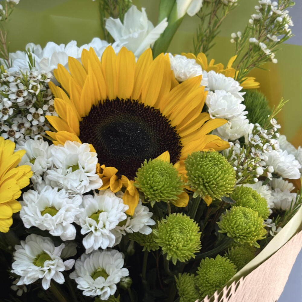 Поцелуй солнца🌻
