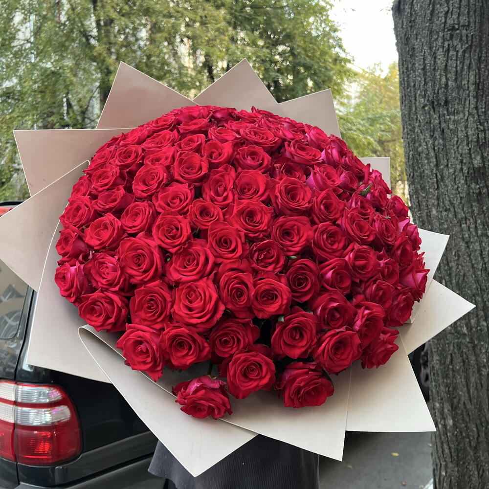 101 шикарная Роза 🌹