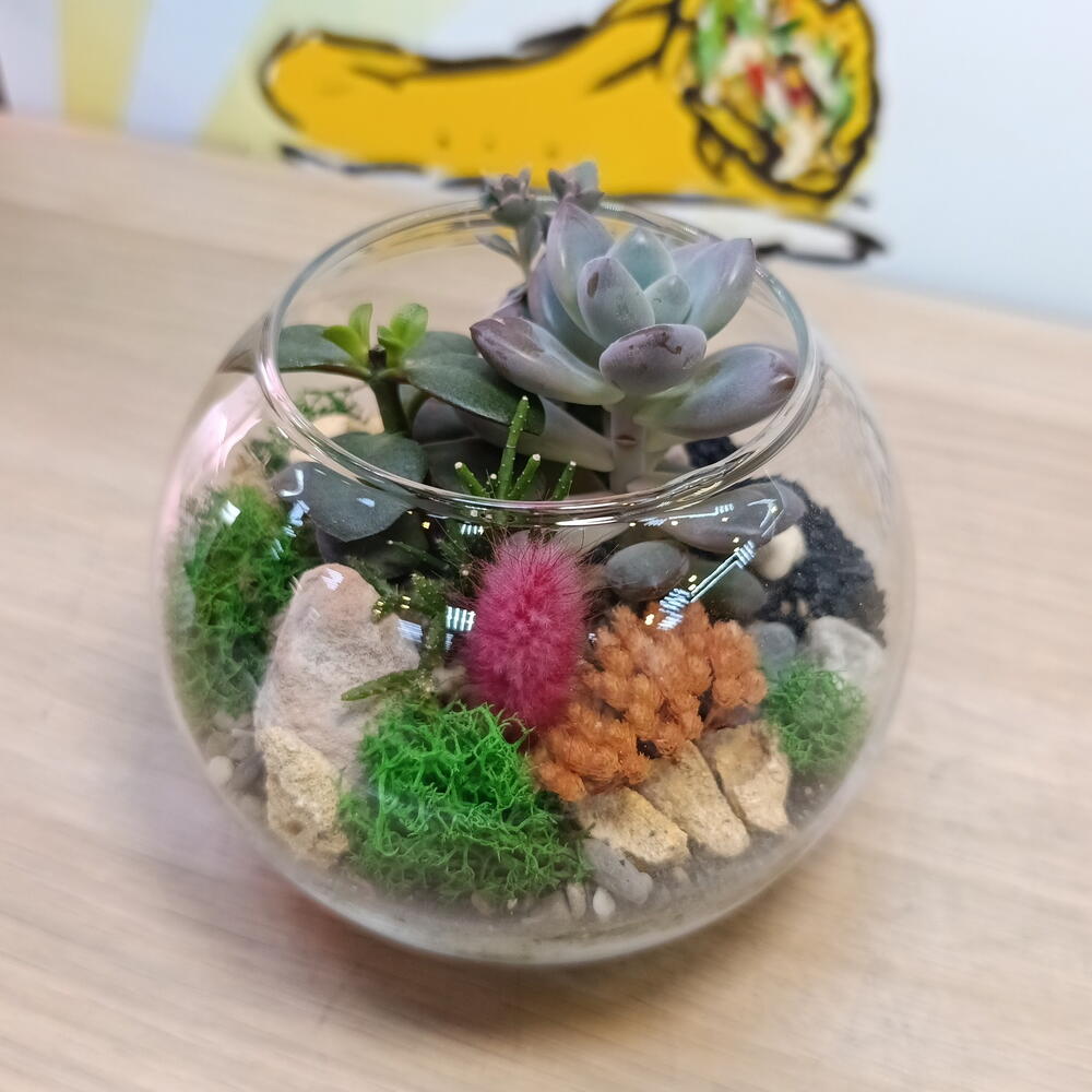 Клод