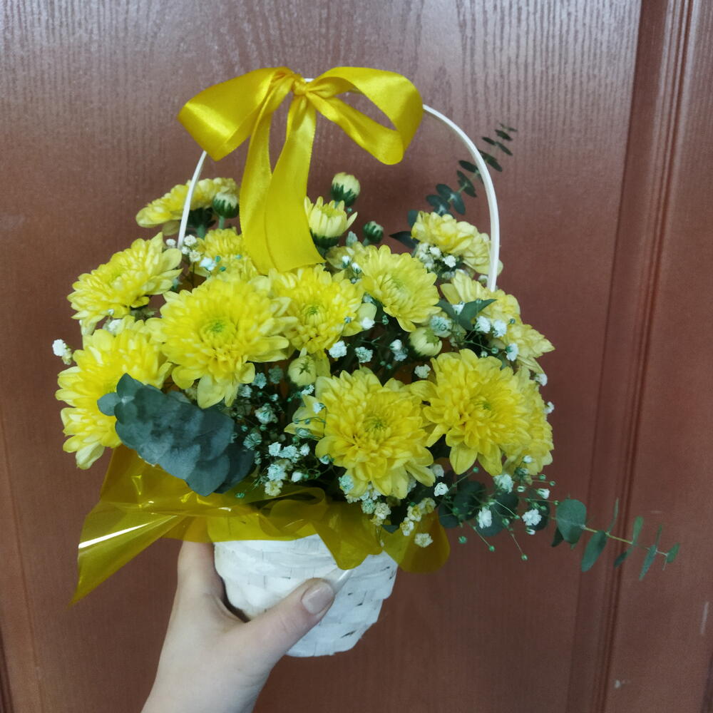 Солнечное поле