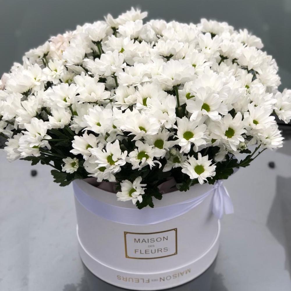 Ромашковые хризантемы в Коробке, Flowers & Gifts Almaty, buy at a price