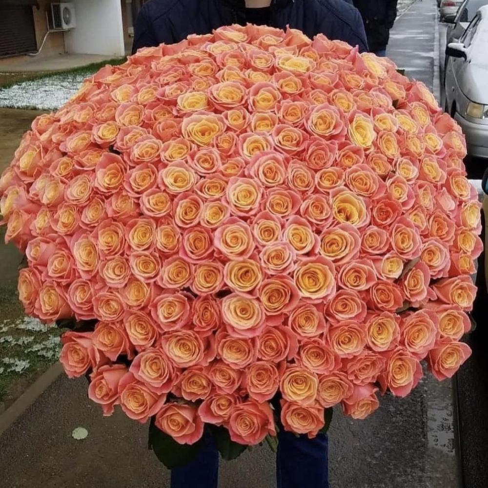 Сколько стоит букет цветов роз. Красивые большие букеты. Огромный букет цветов. Букет роз огромный. Букет "большой".