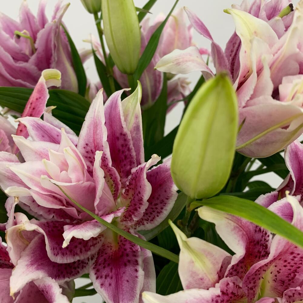 Bouquet of lilies