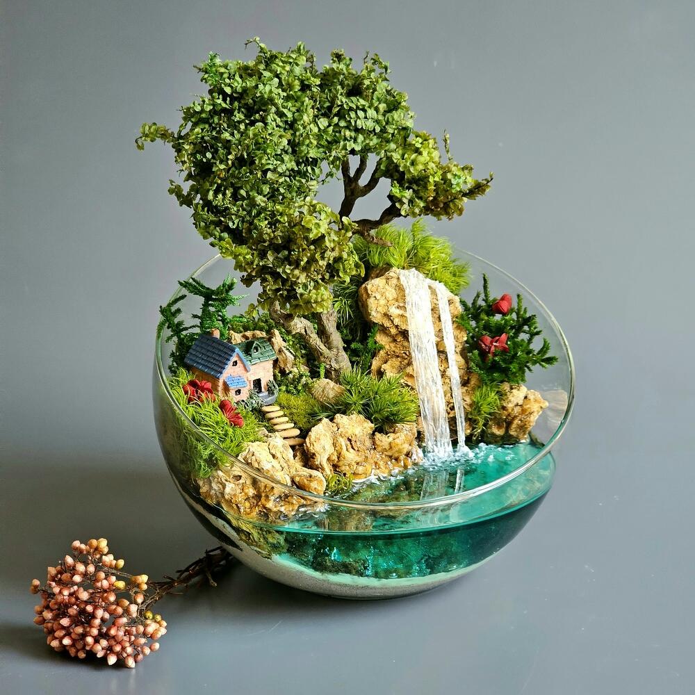 Моссариум На берегу, Живые растения в Ростове-на-Дону, купить по цене ...