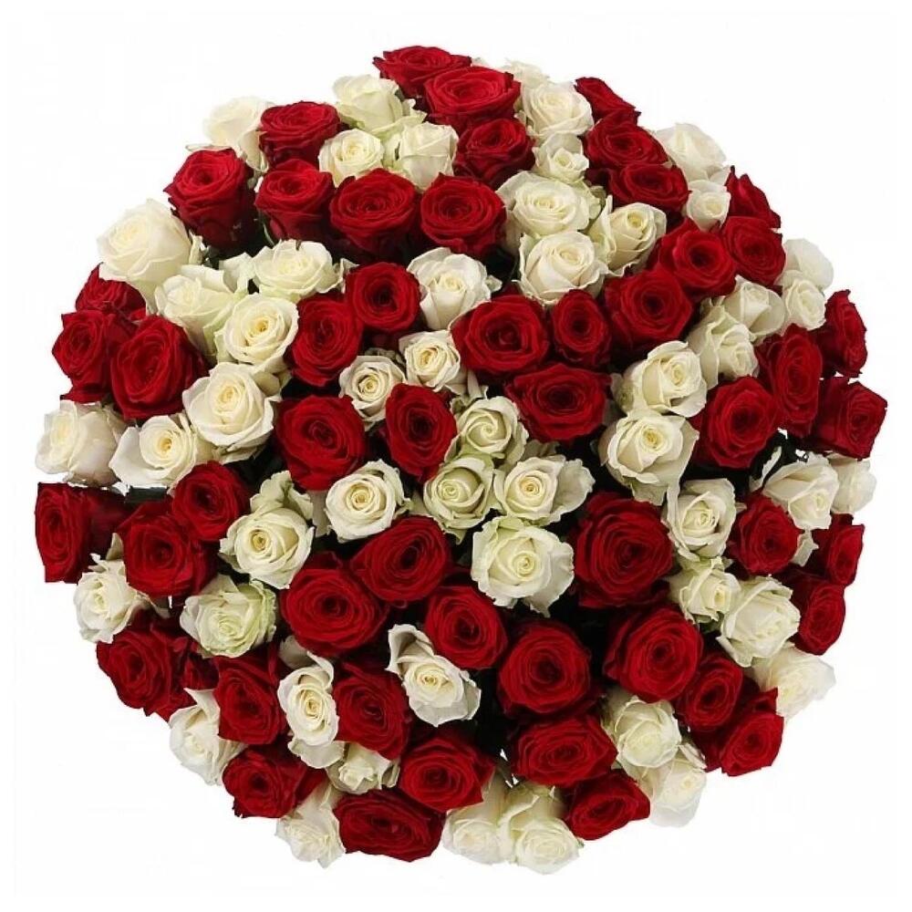 101 Роза 🌹
