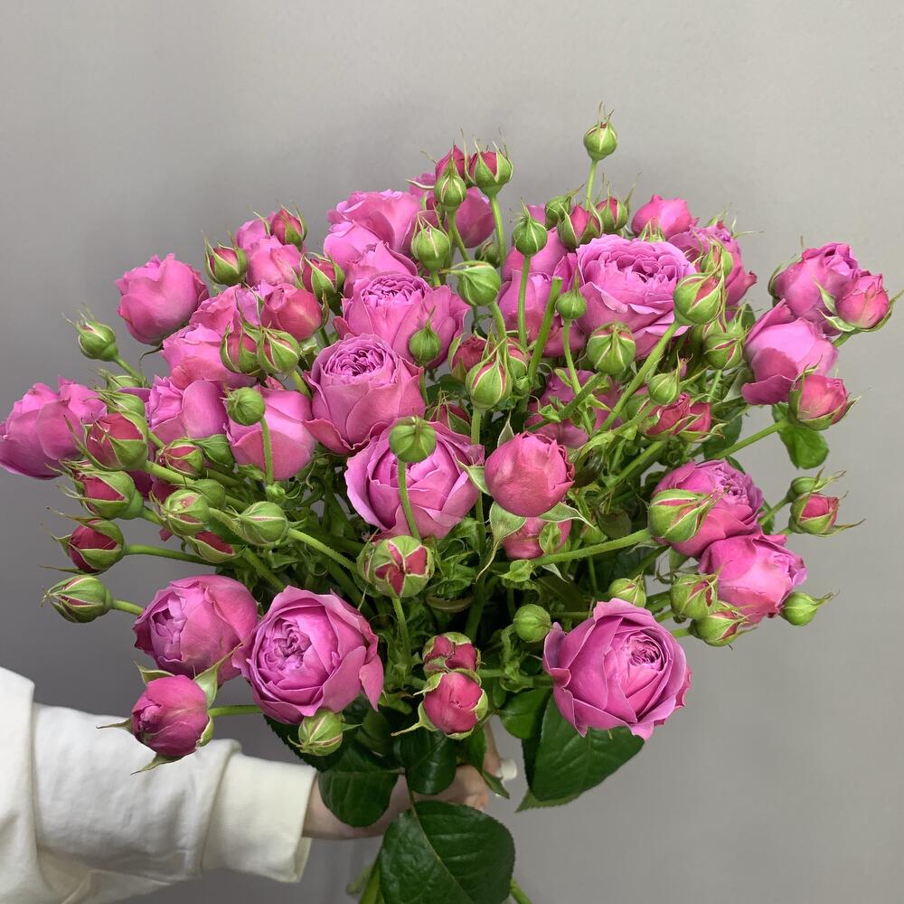 РОЗА КУСТОВАЯ 70 см 7 шт