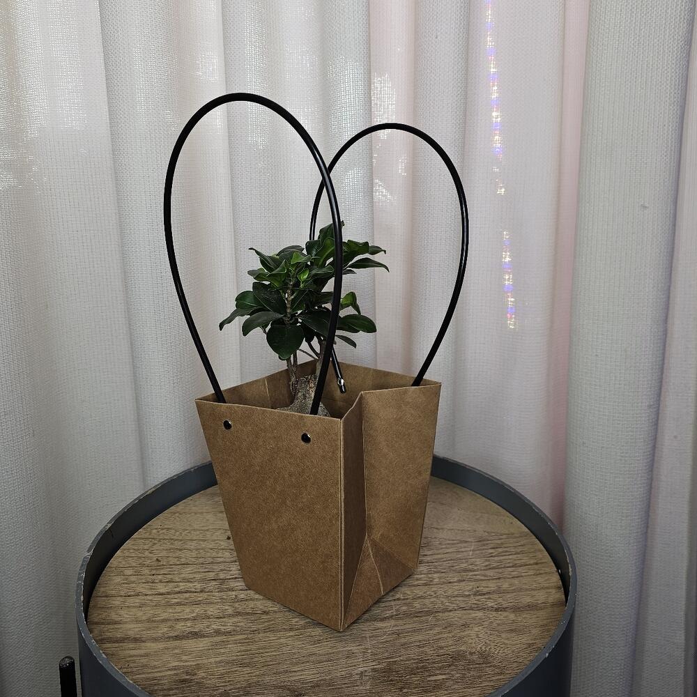 Коробка крафт под растения