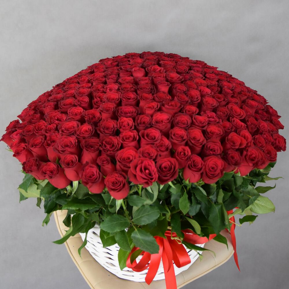 Корзина из 251 кенийской розы